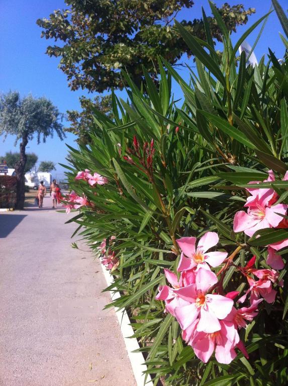 Happy Camping Village Bellaria-Igea Marina Bagian luar foto